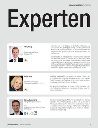 Experten BI (Business Intelligence)