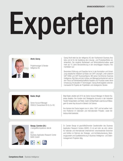 Experten BI (Business Intelligence)