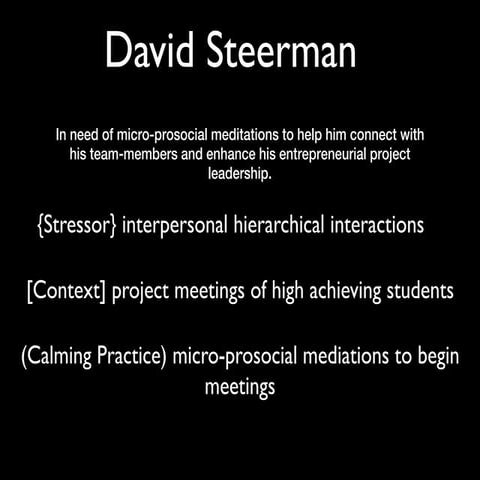 Micro-Mediation User Persona