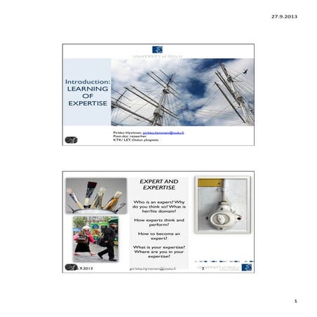 Expertise hyvonen2013