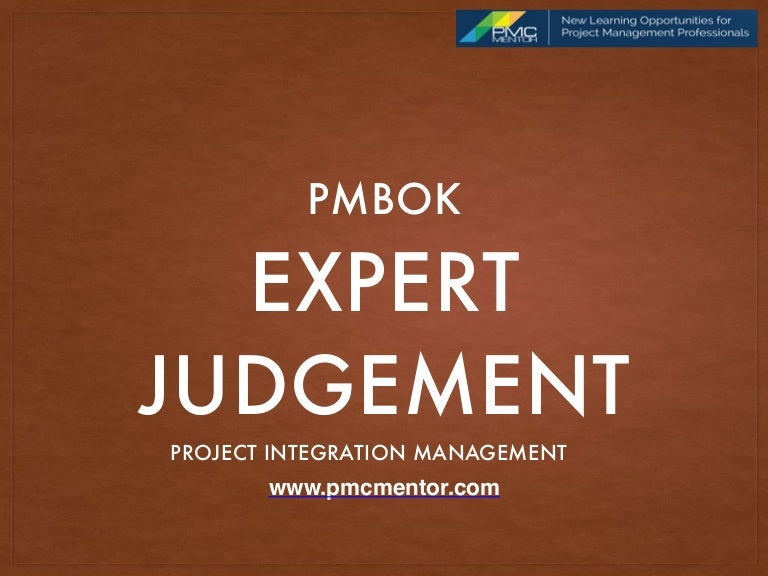 What Is Expert Judgement? : What is Work Breakdown Structure in Project ...