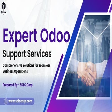 Expert Odoo support services     (1).pdf