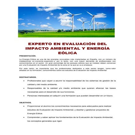 Experto en evaluación del impacto ambiental y energía eólica