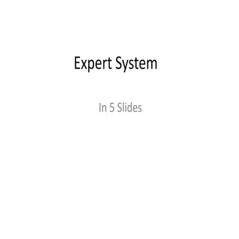 Expert system