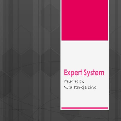 Expert system