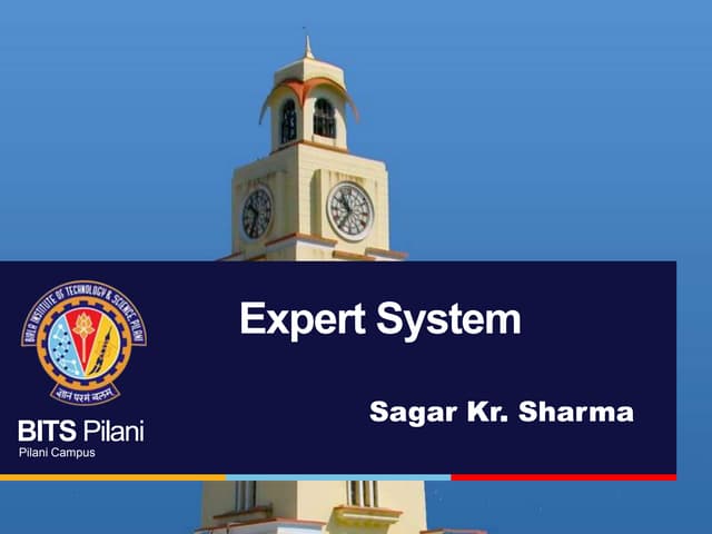 Expert system