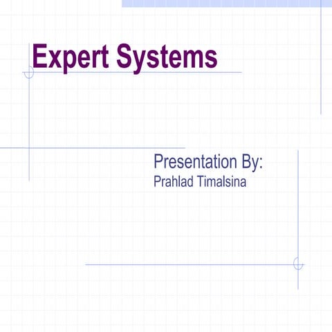Expert system