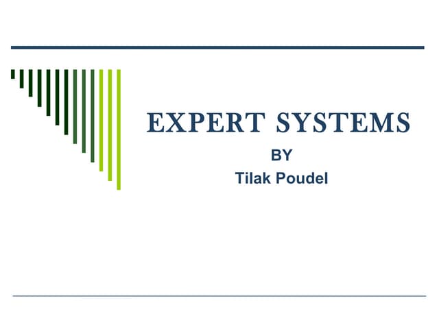 Expert system