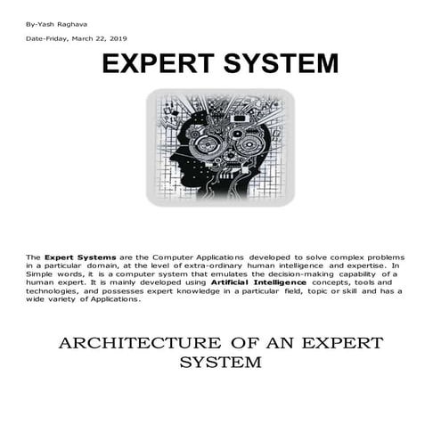 Expert system
