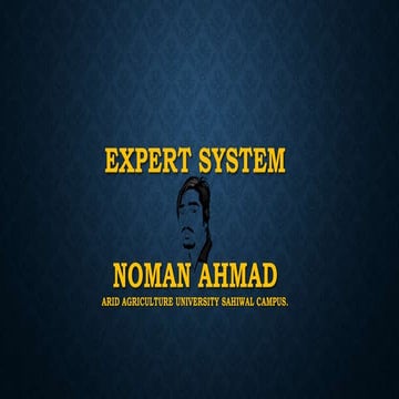 what is Expert System?