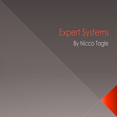 Expert Systems