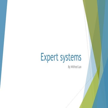 Expert systems