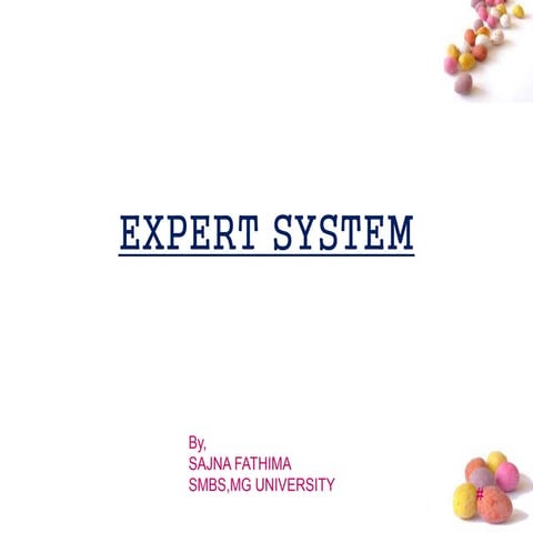 Expert systems