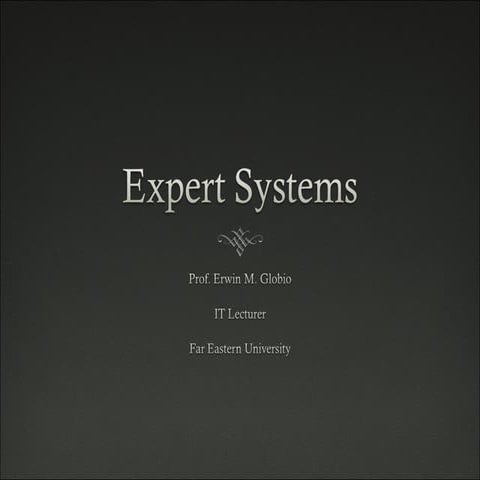 Expert System Seminar