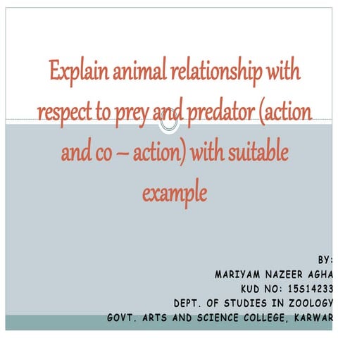 animal relationship w.r.t prey and predator 