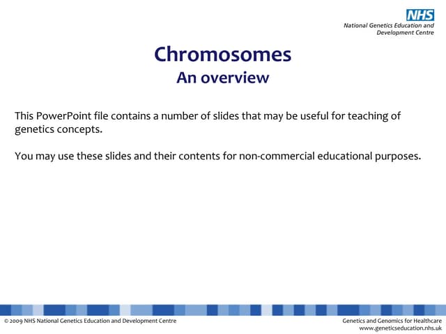 Explanation slides - Chromosomes