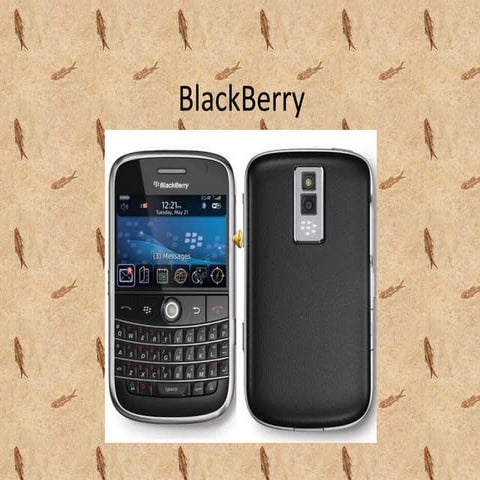 Explanation about black berry by refaldi