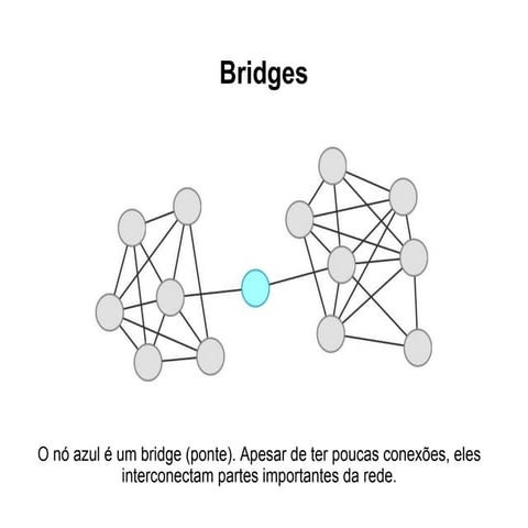 Brokers e Bridges (genes em rede de interação proteína-proteína)