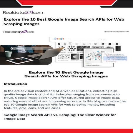 Explore the 10 Best Google Image Search APIs for Web Scraping Images.pdf