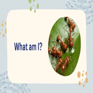 Lesson 1Exploring-Compound-Microscope (1).pdf