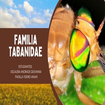 Mosca de tabano | PPTX