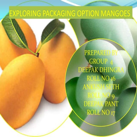 Exploring mangoes logistic  for export group 4 iift