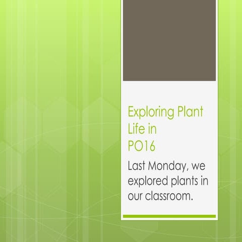 Exploring plant life in