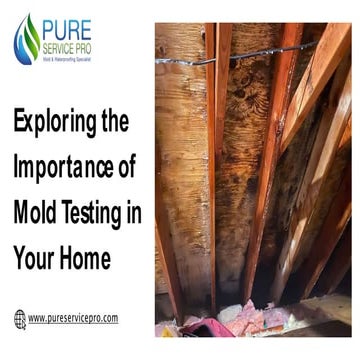 Mold Detection vs. Mold Testing – What’s the Difference.pptx