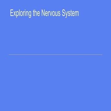 Exploring the Nervous System 8.pptx for high school