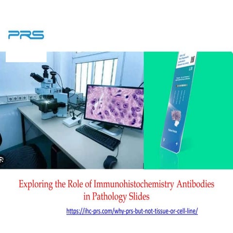 Exploring the Role of Immunohistochemistry Antibodies in Pathology Slides.pptx