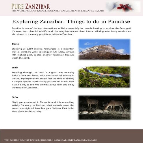 Exploring Zanzibar: Things to do in Paradise