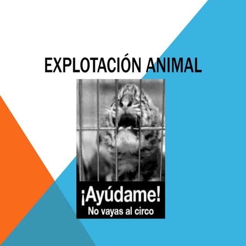 Explotación animal