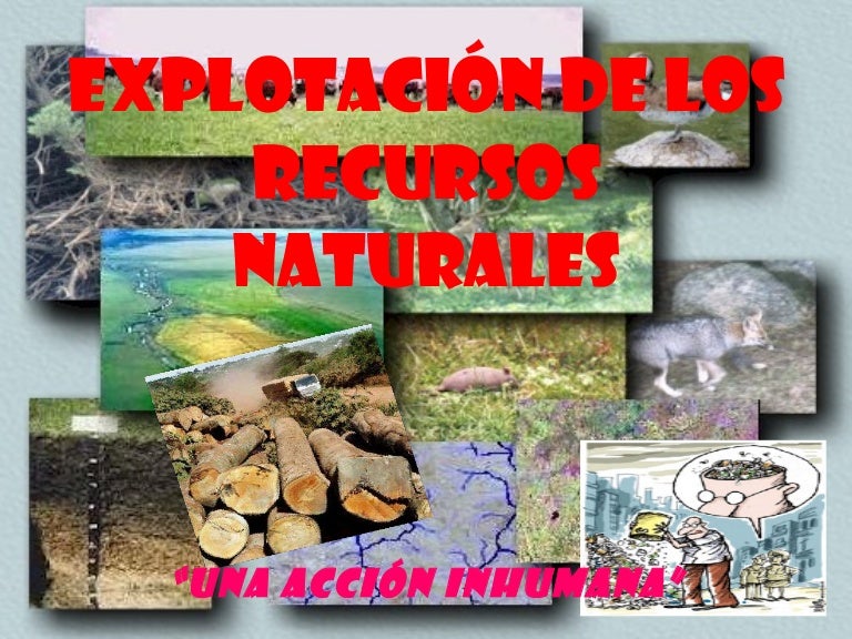explotación de los recursos naturales power point slide share