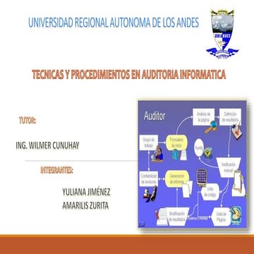 TECNICAS Y PROCEDIMIENTOS EN AUDITORIA INFORMATICA