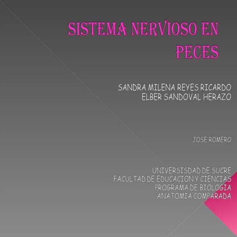 sistema nerviosos en peces