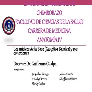 Exposicion Ganglios-Basales