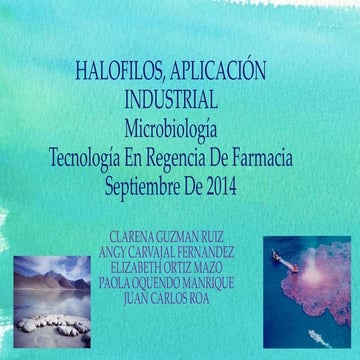 APLICACION INDUSTRIAL DE LOS HALOFILOS