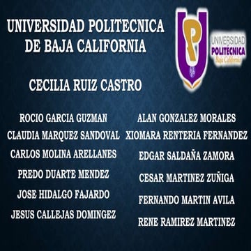 Plataformas Digitales