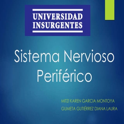 SISTEMA NERVIOSO PERIFERICO