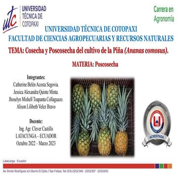Ingeniería agronomica COSECHA Y POSCOSECHA PIÑA | PPTX