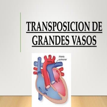 Transposición de las Grandes Arterias