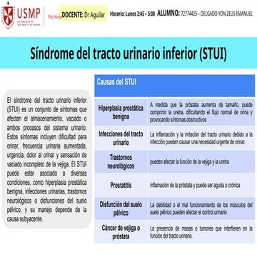 El síndrome del tracto urinario inferior (STUI) es un conjunto de ...