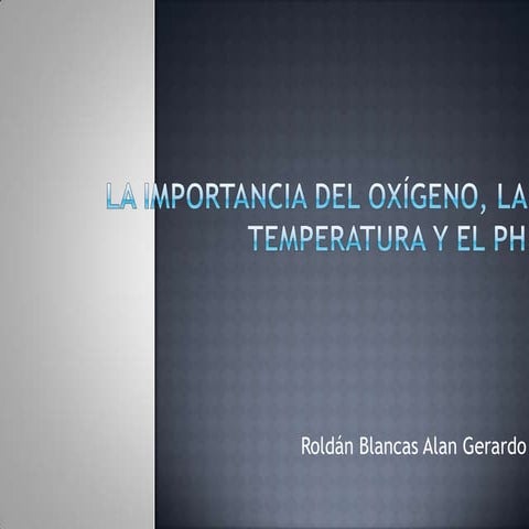 Hoja de trabajo 1 | PDF