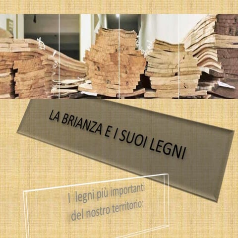Expo2015 la brianza e i suoi legni-scienze