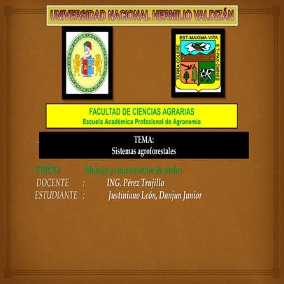 sistemas en agroforesteria