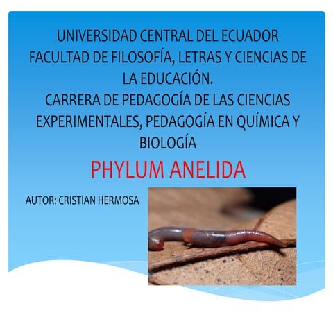 Anelidos por Cristian Hermosa