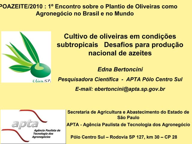 "Cultivo de oliveiras em condições ...