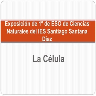 Expocelulas