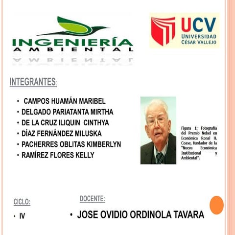 TEOREMA DE COASE PPT