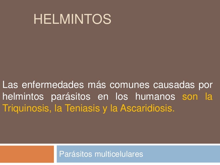 Los oxiuros son helmintos